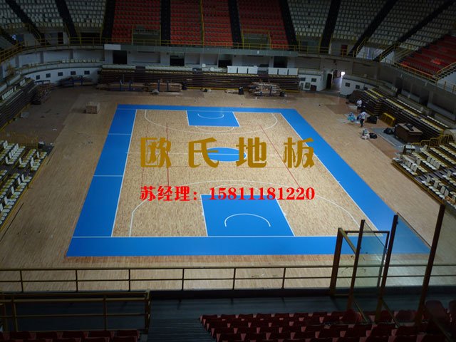 現(xiàn)代體育運(yùn)動(dòng)木地板都是這么美！